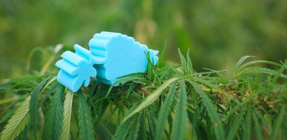 Матрас Mr.Mattress Sativa L 