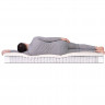 Матрас Dreamline Prime Soft TFK